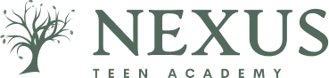 Nexus Teen Academy logo