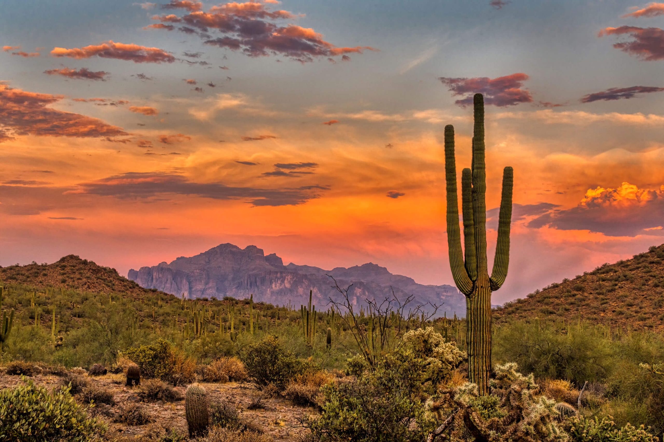 Arizona-teen-mental-health-treatment-center – Nexus Academy | Personalized Drug & Alcohol Rehab Nexus Teen Academy Teen Mental Health Treatment Philosophy