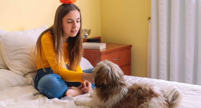 Pet Therapy - one of the recommended trauma activities for youth