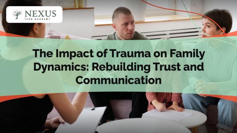 The Impact of Trauma on Family Dynamics -Rebuilding Trust and Communication