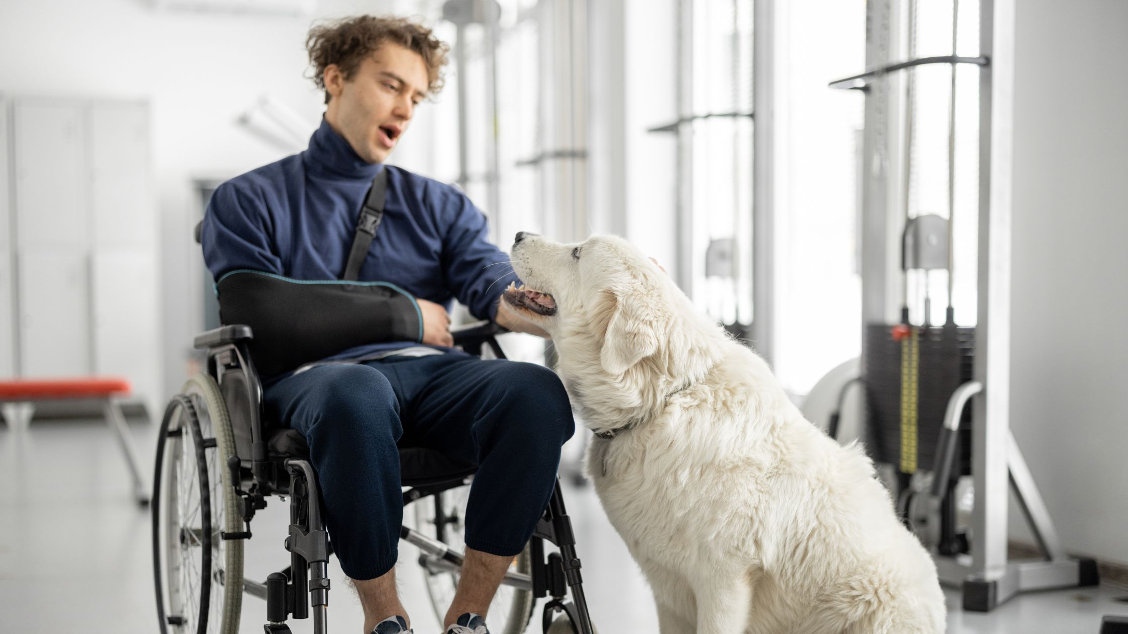 A man in a wheelchair with an arm sling interacting with a friendly white therapy dog in a gym, highlighting the role of pets in encouraging physical activity.