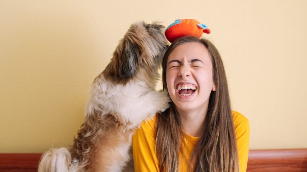 A young girl laughing joyfully as a therapy dog playfully interacts with her, highlighting the comforting and emotional support role of therapy dogs.
