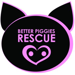 Better Piggies Logo